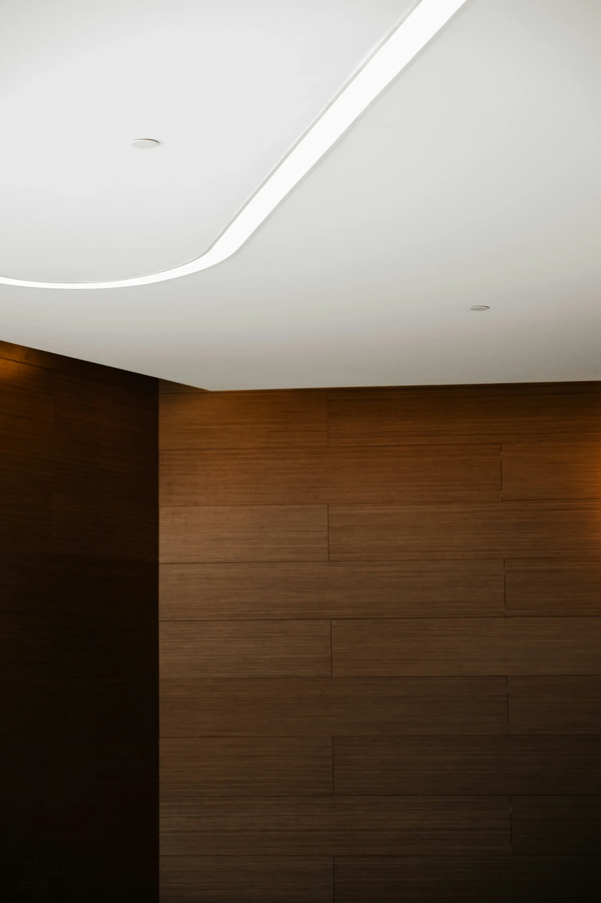 Simple Curved POP Ceiling